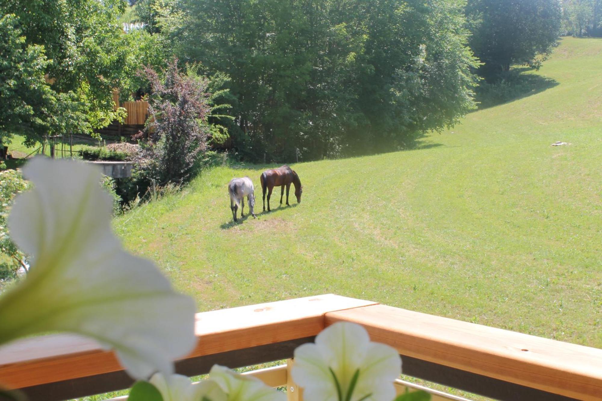 Villa House Gabrijel With Four Seasons Outdoor Kitchen à Bled Extérieur photo